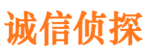 安化侦探社